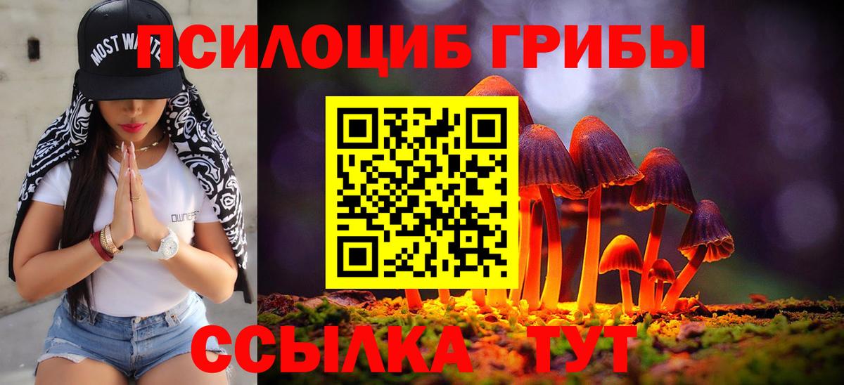 Псилоцибиновые грибы мухоморы Павлово