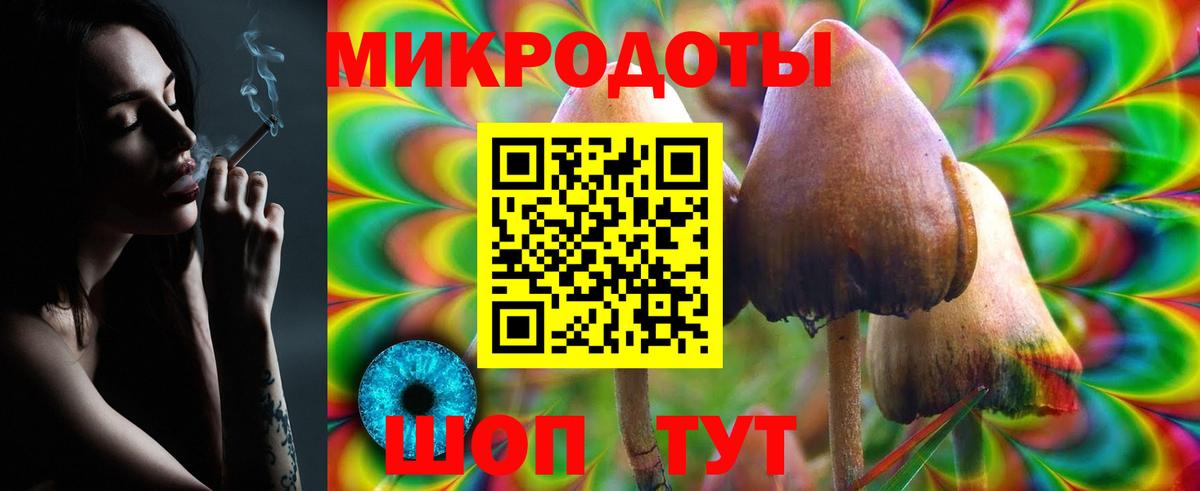 Галлюциногенные грибы Psilocybine cubensis  Вход с VPN  Павлово  Псилоцибиновые грибы мухоморы 